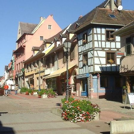 Maison Bleue Apartment Saverne Luaran gambar