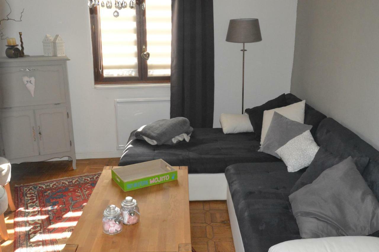 Maison Bleue Apartment Saverne Luaran gambar