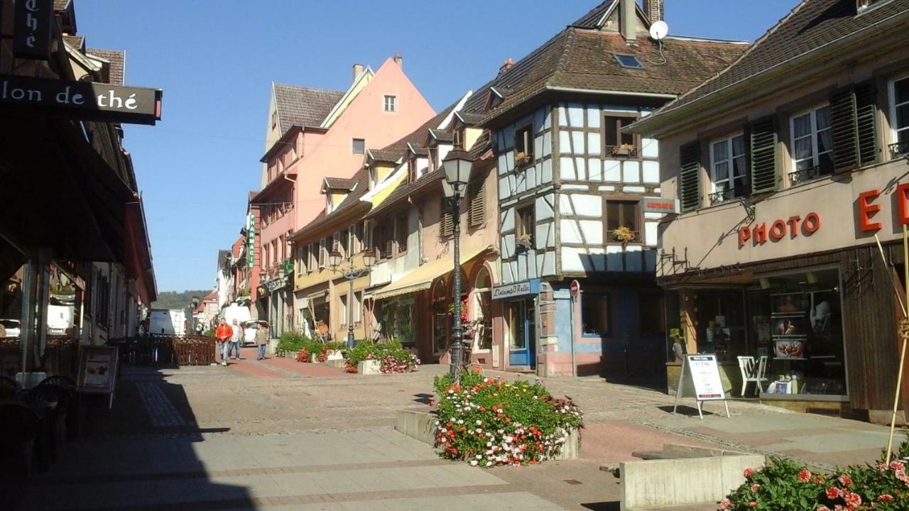Maison Bleue Apartment Saverne Luaran gambar