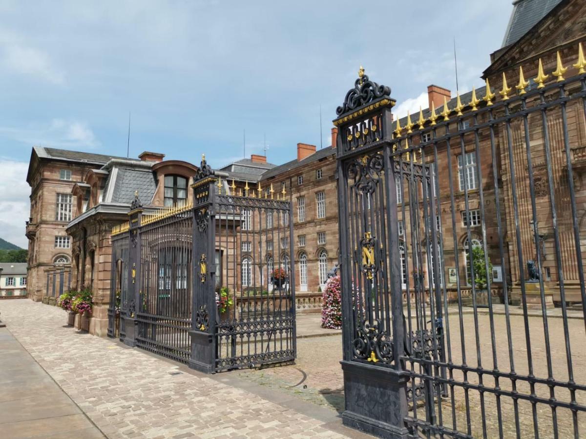 Maison Bleue Apartment Saverne Luaran gambar